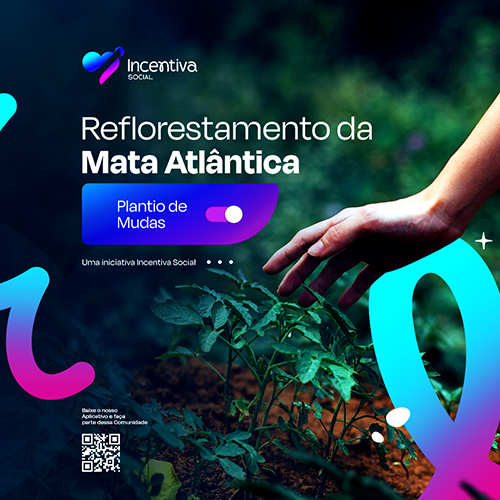 [FEED]Layout_Incentiva_2